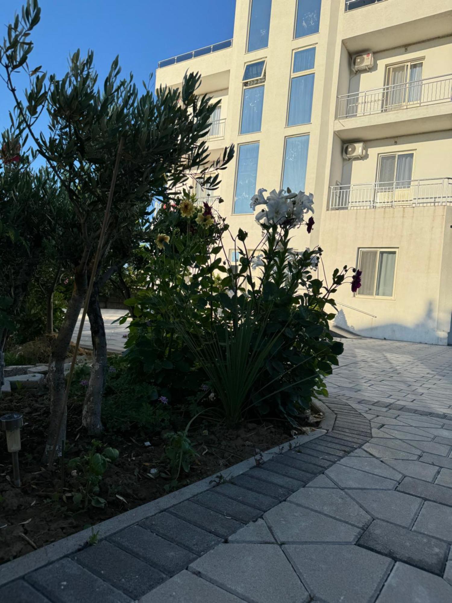 Kunevain Guest House Lezhë 外观 照片
